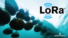 Semtech 宣布 LoRaWAN® 已集成到 ICT International 的牡蛎养殖解决方案中