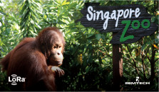 Semtech 和 Sindcon 通过 LoRaWAN® 为新加坡动物园带来智能表计