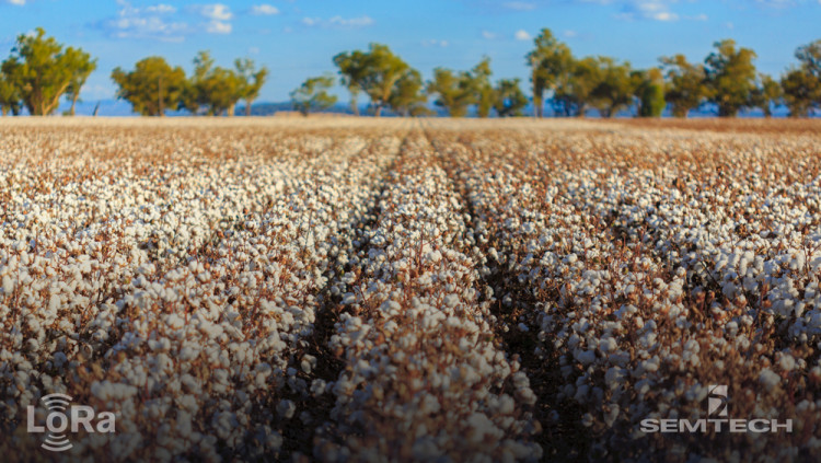 Semtech’s LoRa Technology Creates Smarter Farming Networks in Australia