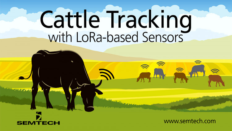Semtech LoRa Technology and Chipsafer Connects Cattle Ranching to the Cloud Chipsafer's cattle tags allow ranchers to monitor vital signs