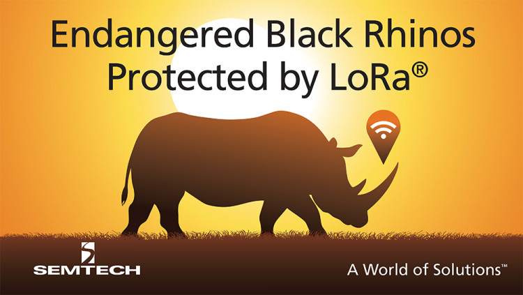 Semtech LoRa Technology Tracks Location of Endangered Black Rhinos in Africa The Internet of Life organization deploys LoRaWAN IoT network to monitor endangered species and improve operations at Mkomazi National Park in Tanzania